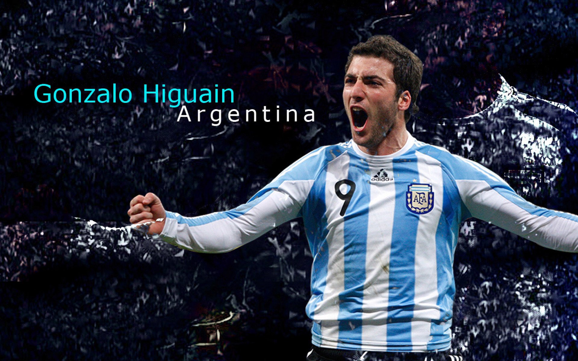 公牛球迷应援横幅登上主场大屏幕，公牛队主场壁纸